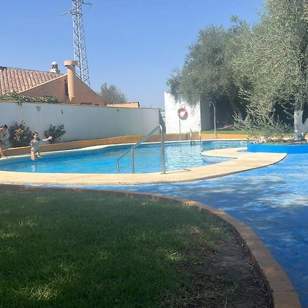 Apartamento A 8Km Sevilla Centro Valencina de la Concepción المظهر الخارجي الصورة